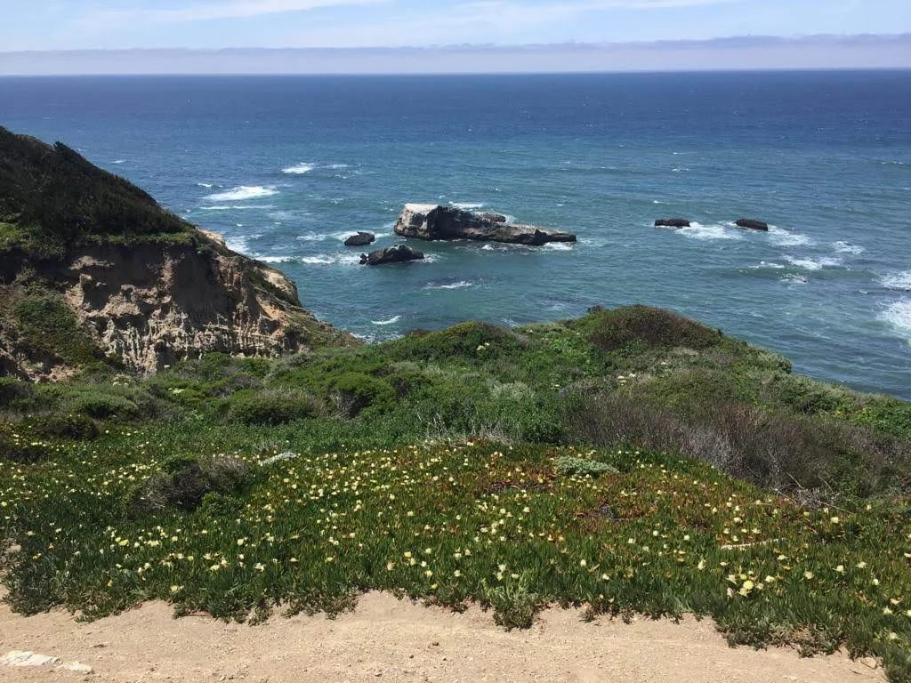 55 by 55 Travel May 2019 Roadtrip-WA0015.jpg
