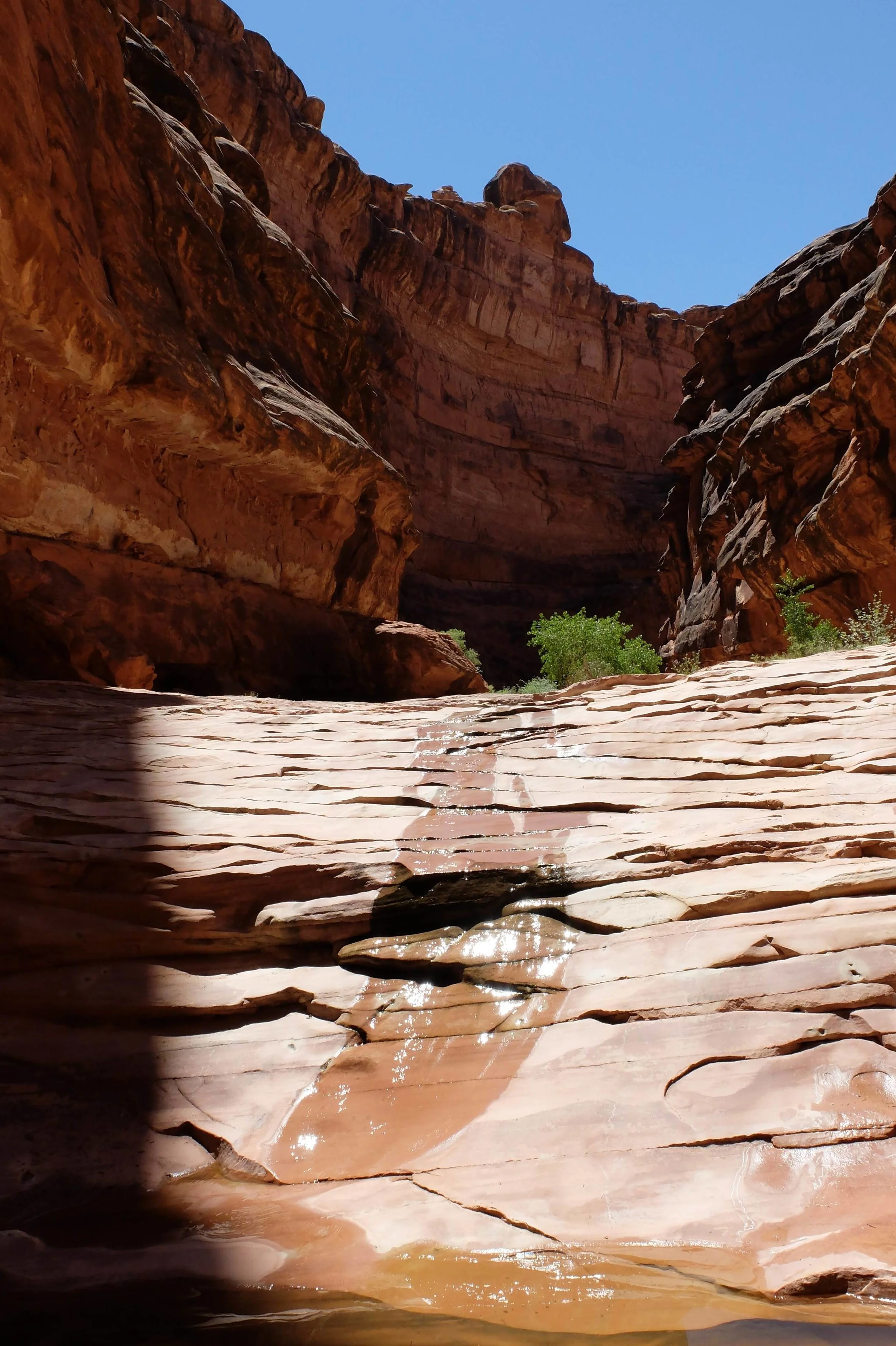 55 by 55 Travel May 2019 Roadtrip9698.jpg
