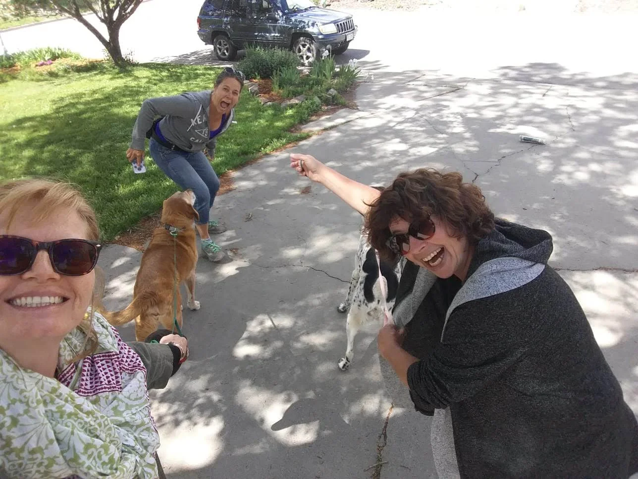 55 by 55 Travel May 2019 Roadtrip0518-WA0016.jpg