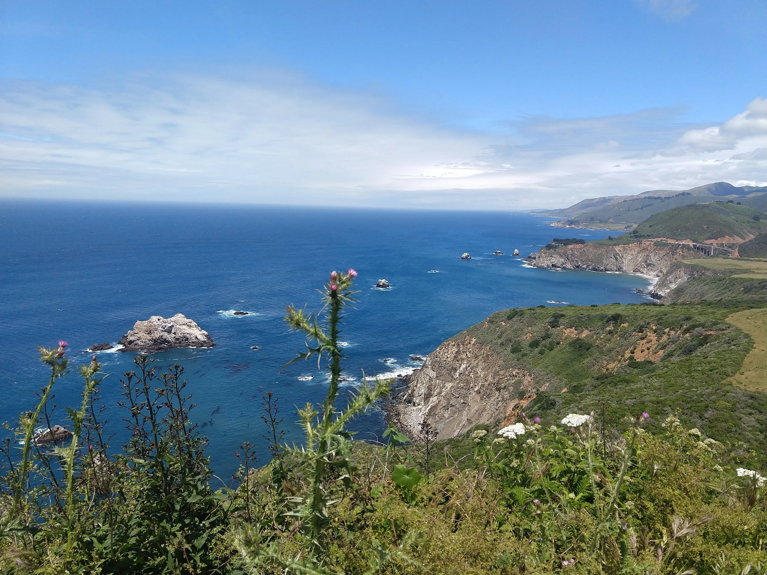 IMG_20190515_124755441.jpg