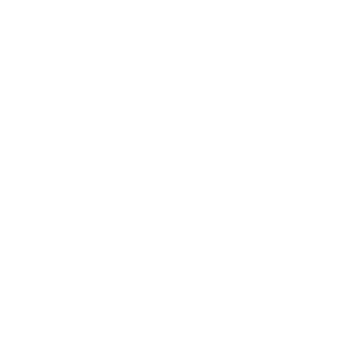 ElevenInc-01.png