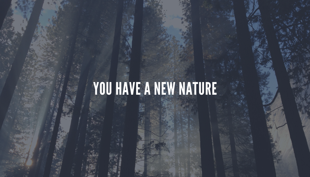 You Have a New Nature