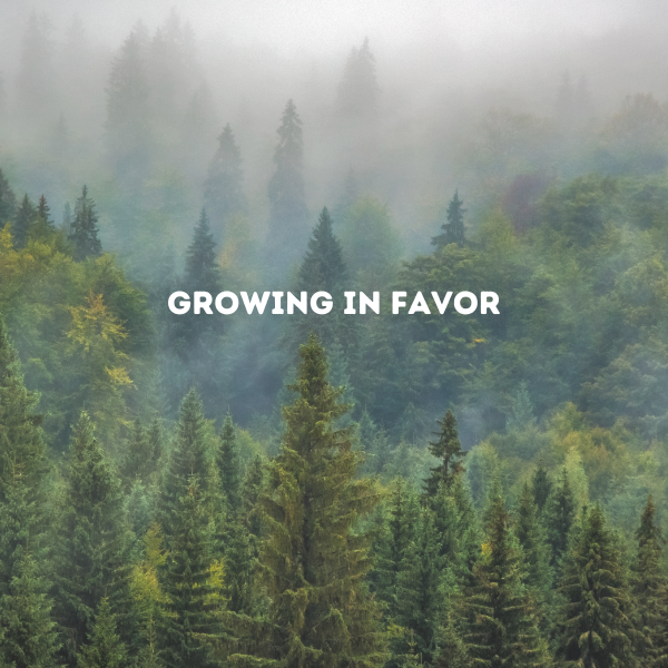 Growing in Favor