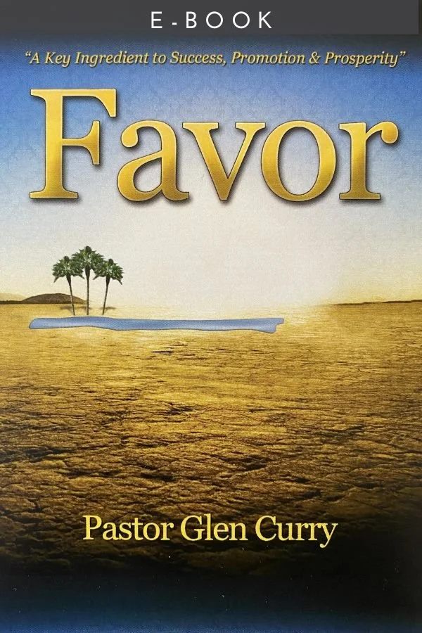 Digital Favor Book.jpeg