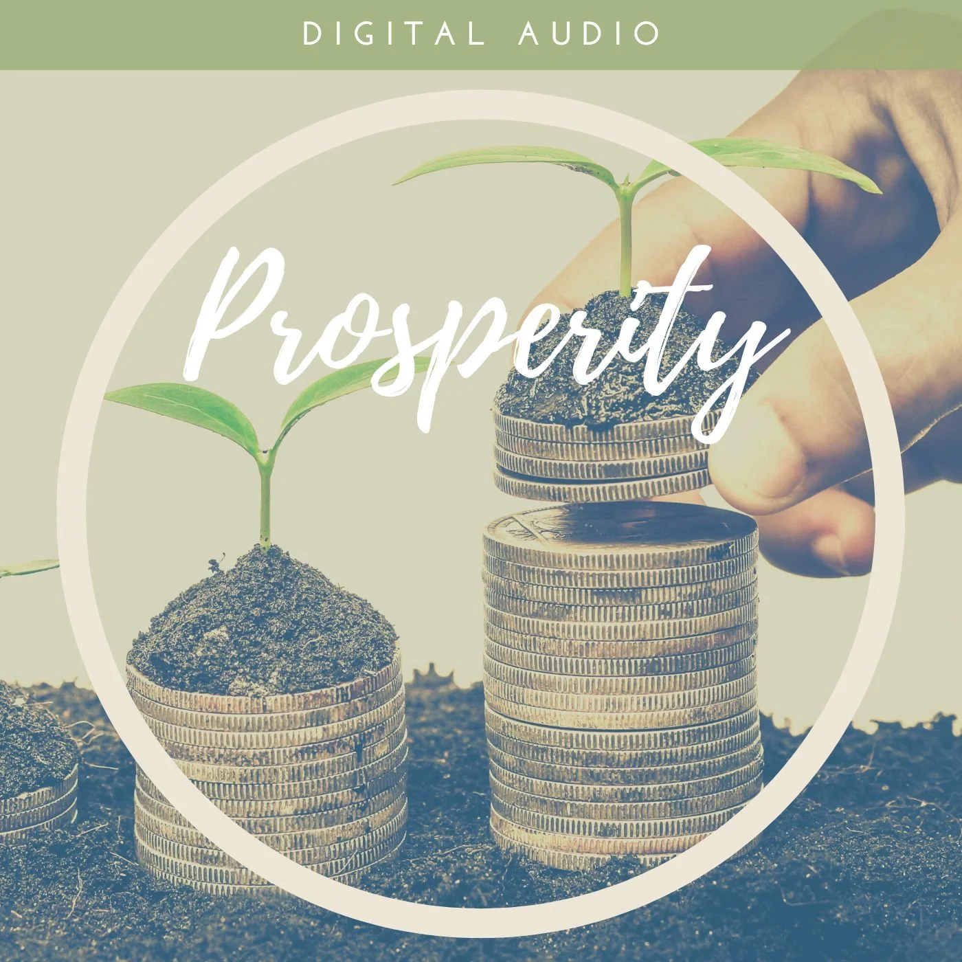 Digital Prosperity.jpeg