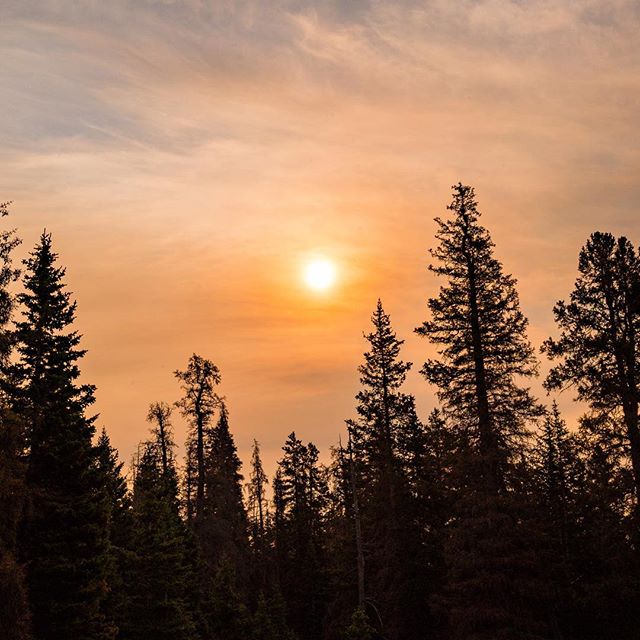 Last week we spent a week in the uintas trying to recreate a 55 mile backpacking trip that I went on with my grandpa 17 years ago (he passed away earlier this year). Check out our outdoor adventure page for more - @rugged_kids. 
Oh, and happy 🇺🇸💥 