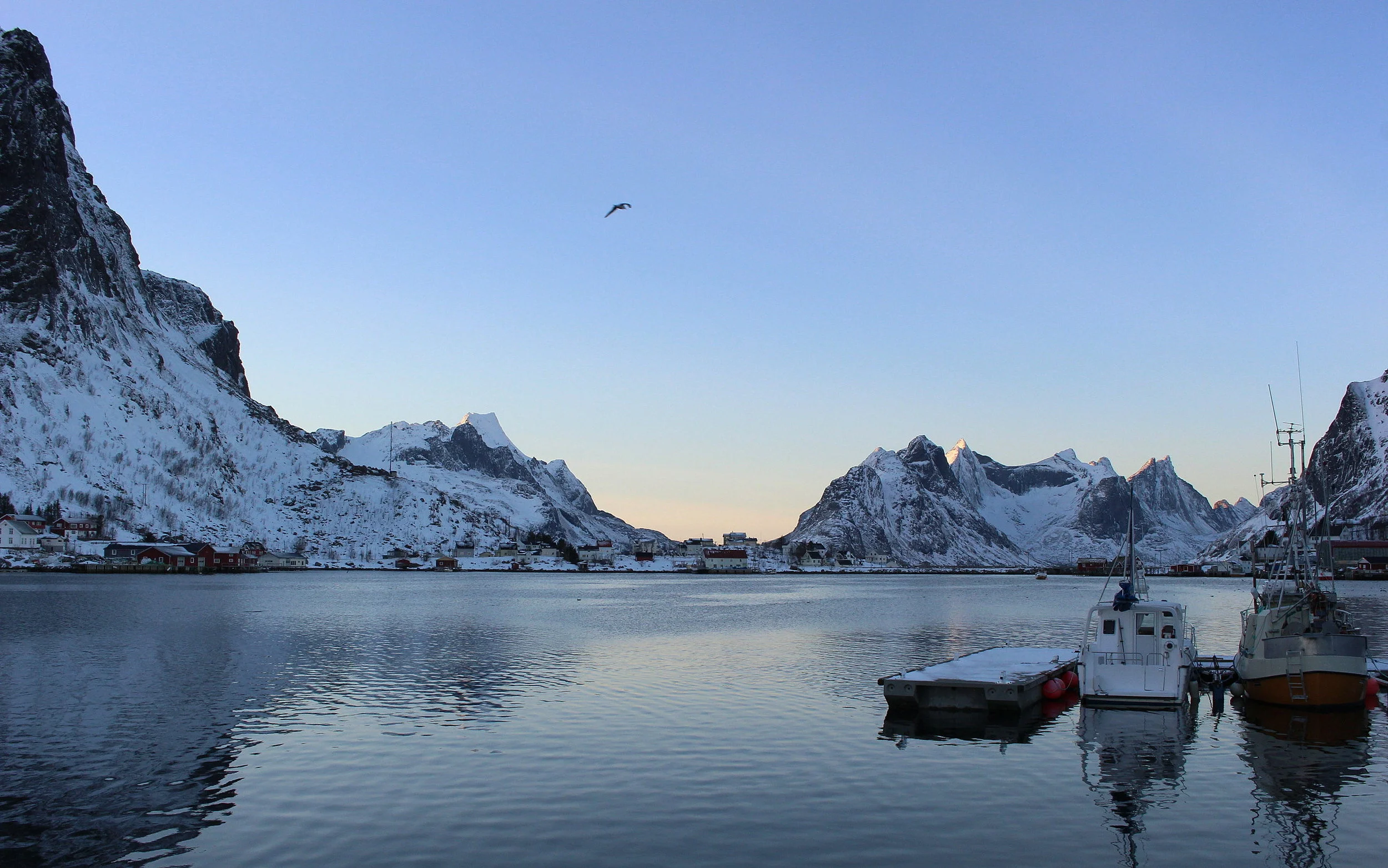 Reine, Norway (February 2019)