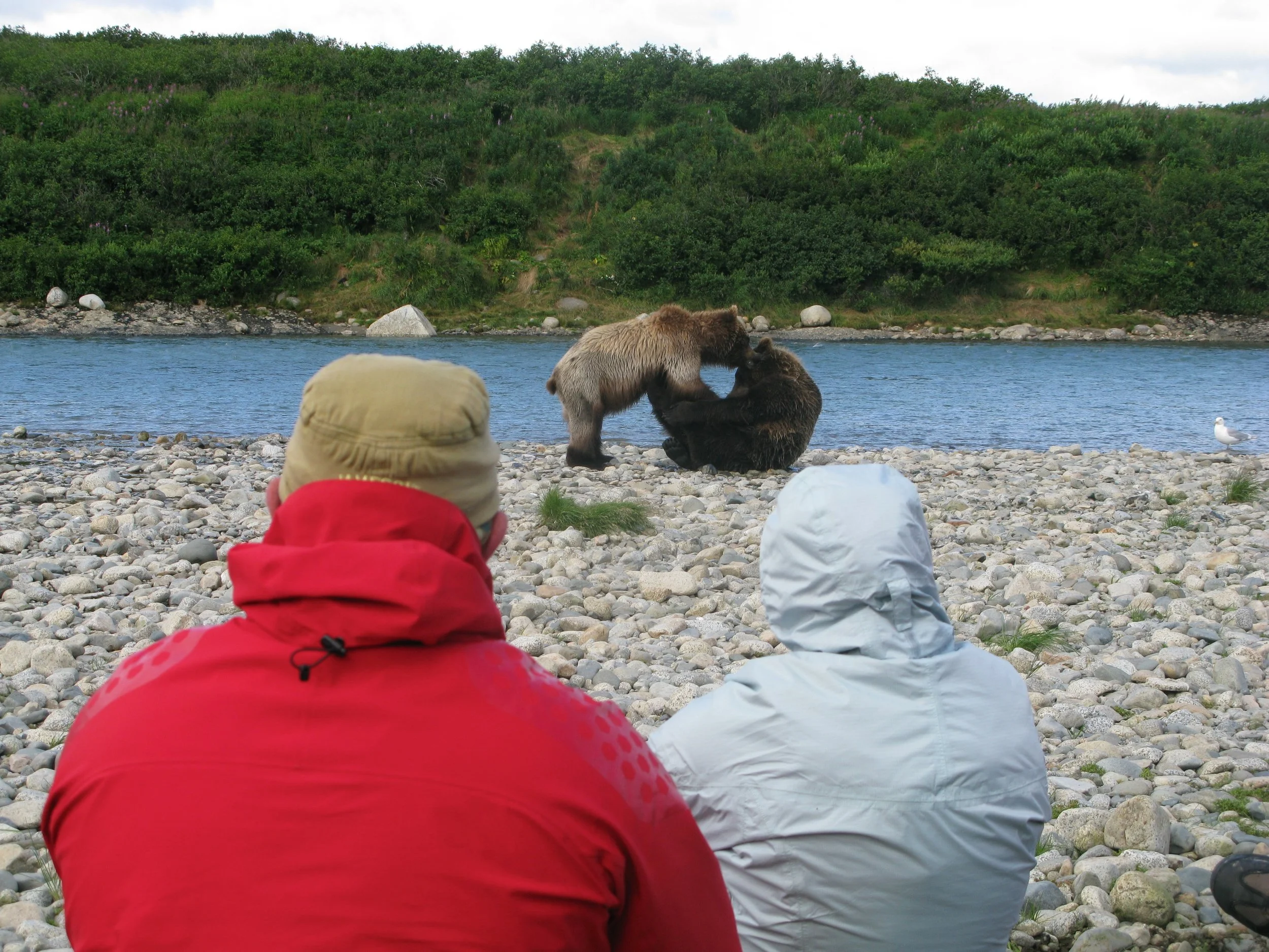 2011-08-14 at 15-06-11.jpg