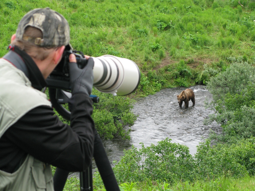 McNeil River: Bear viewing for Alaskans