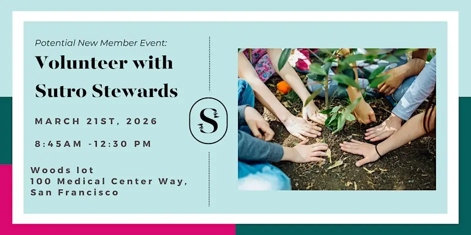 PNM Event: Volunteer with Sutro Stewards Habitat Restoration