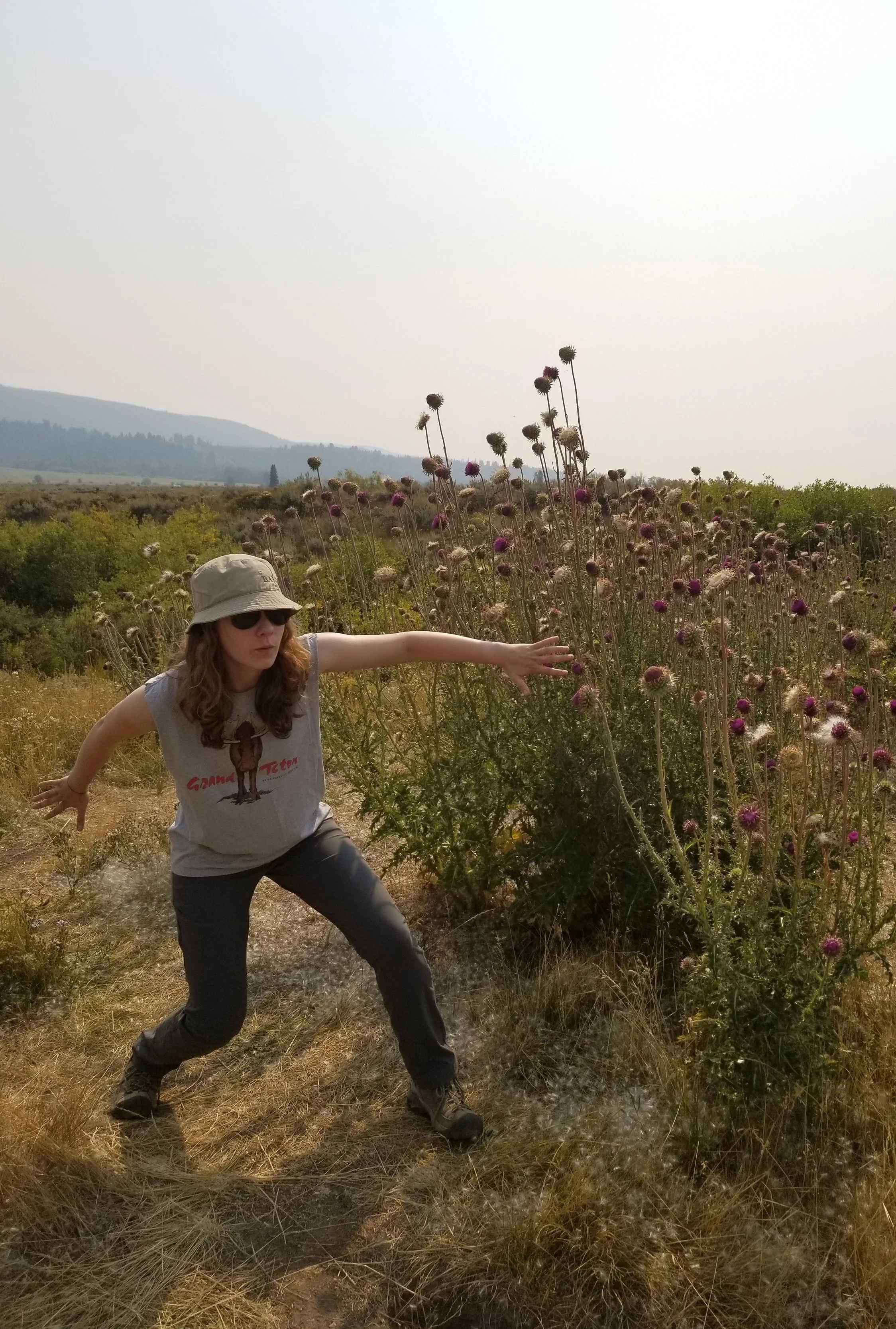 Grand Tetons National Park, 2017