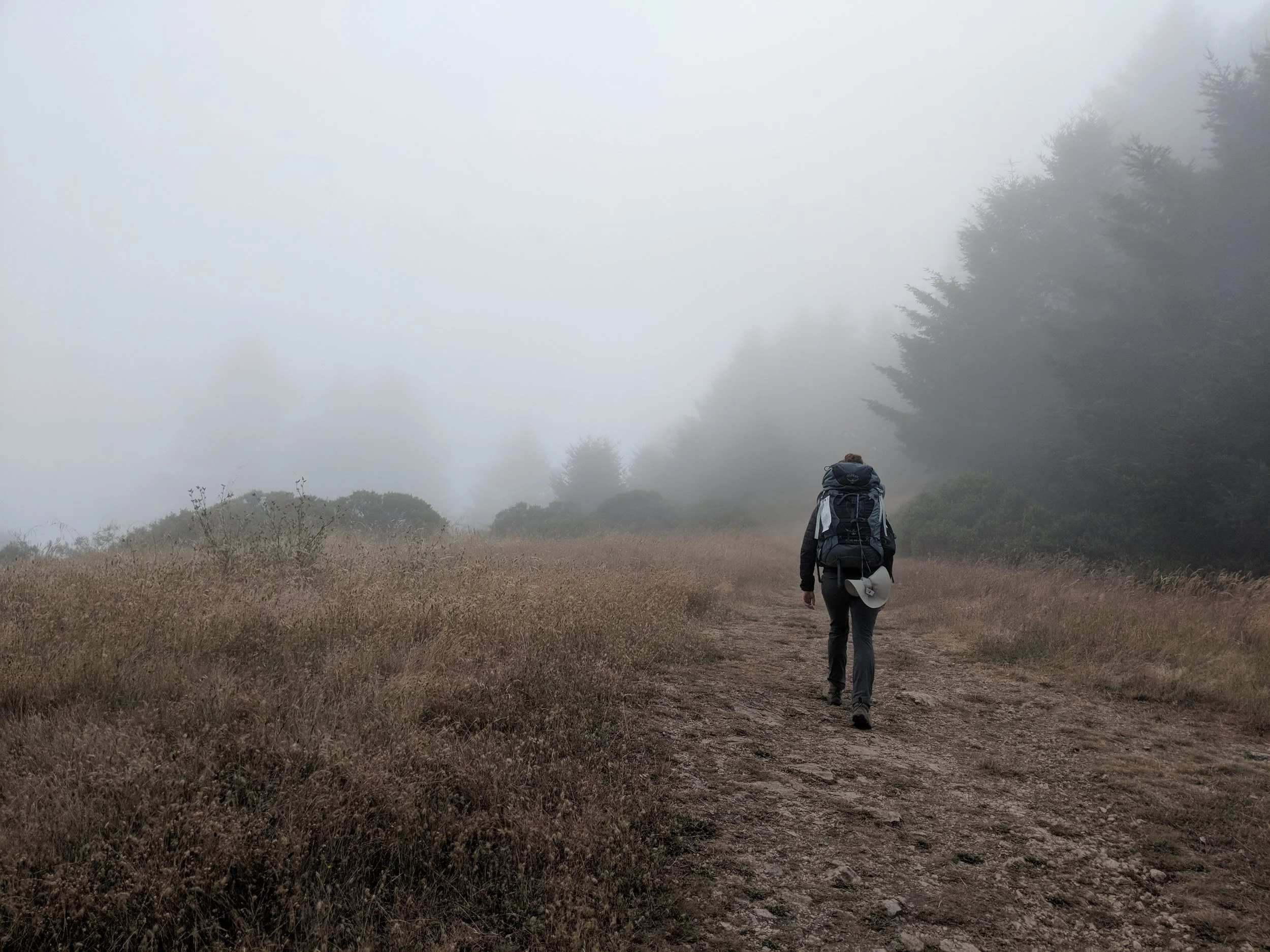 Point Reyes National Seashore, 2018