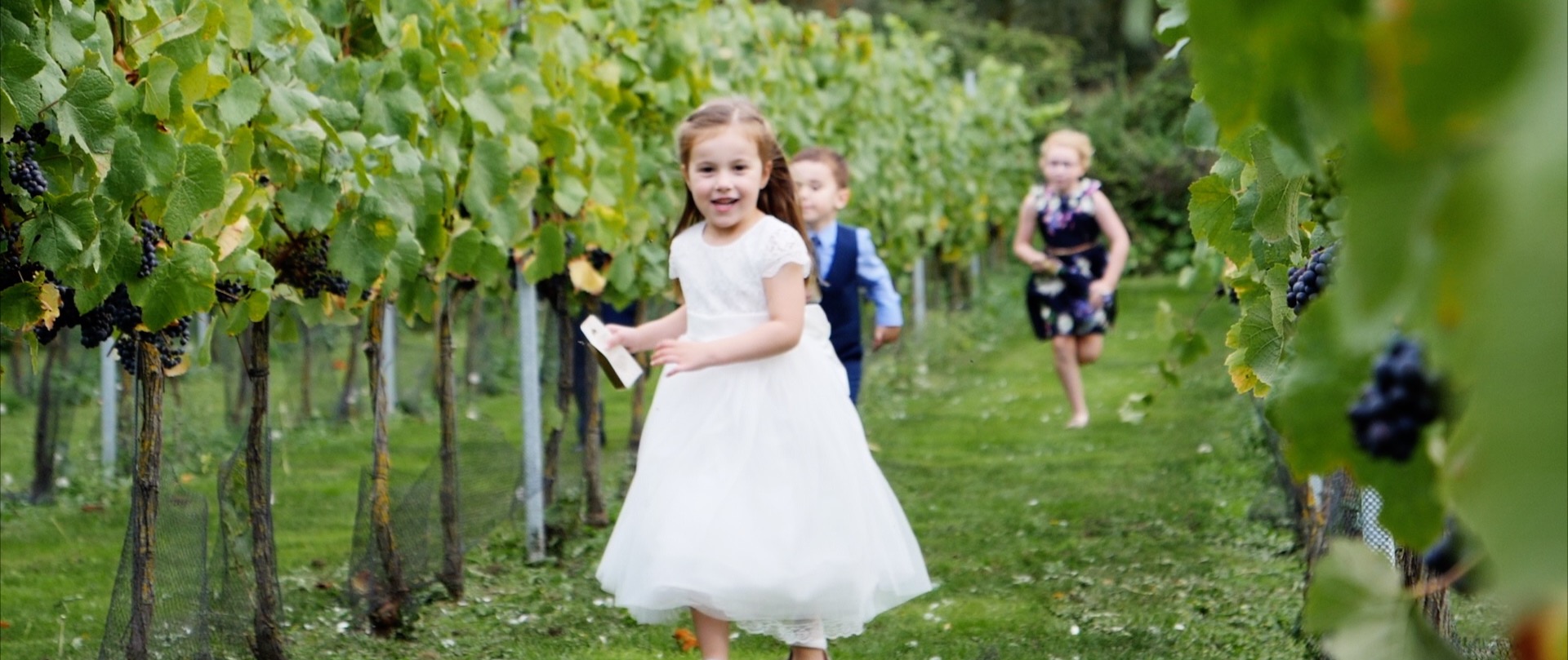 West Street Vineyard Video.jpg