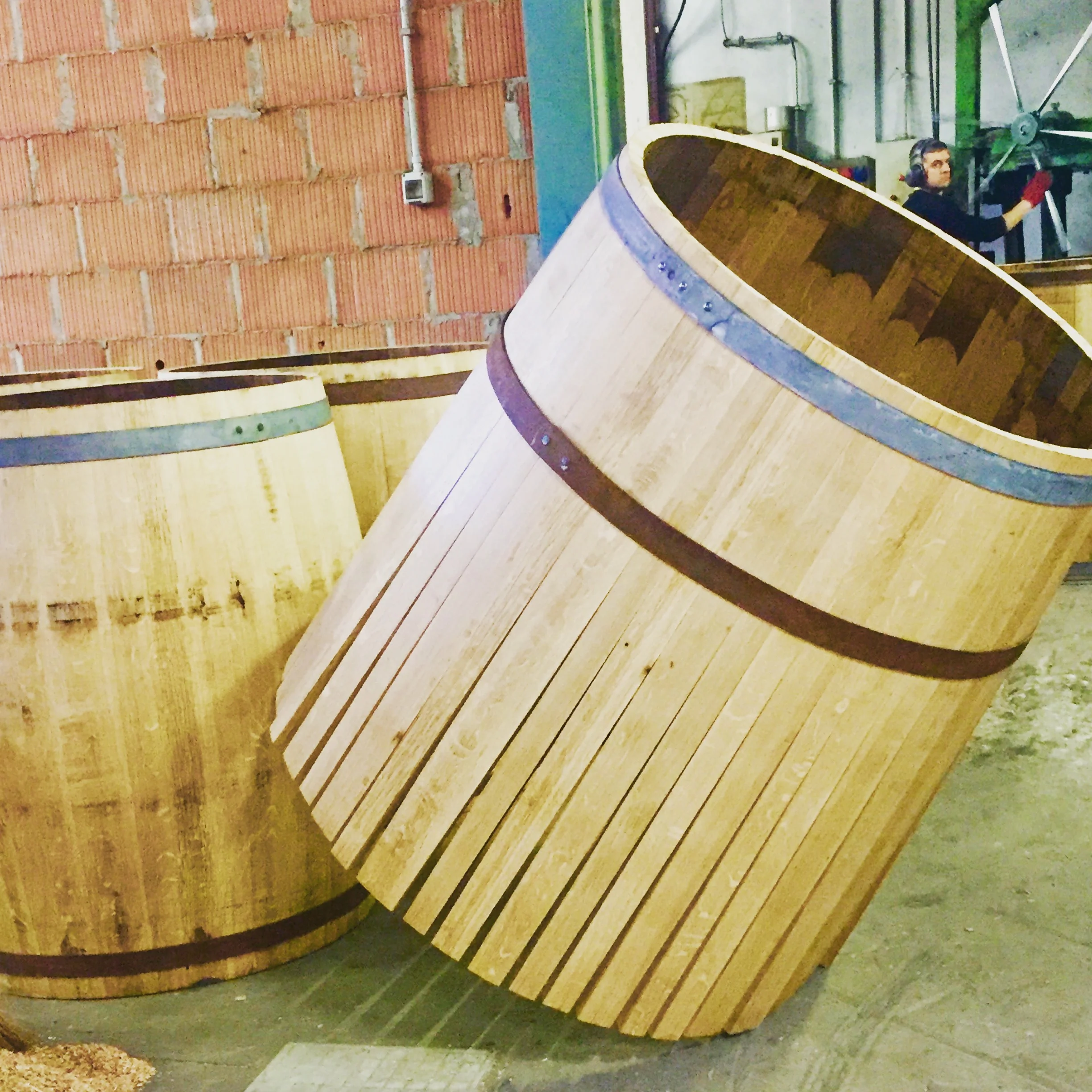 My visit to the Cooper, Gamba Botti