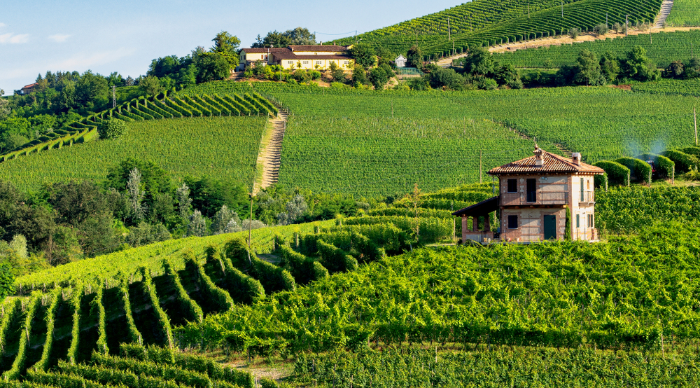 summer-langhe.png