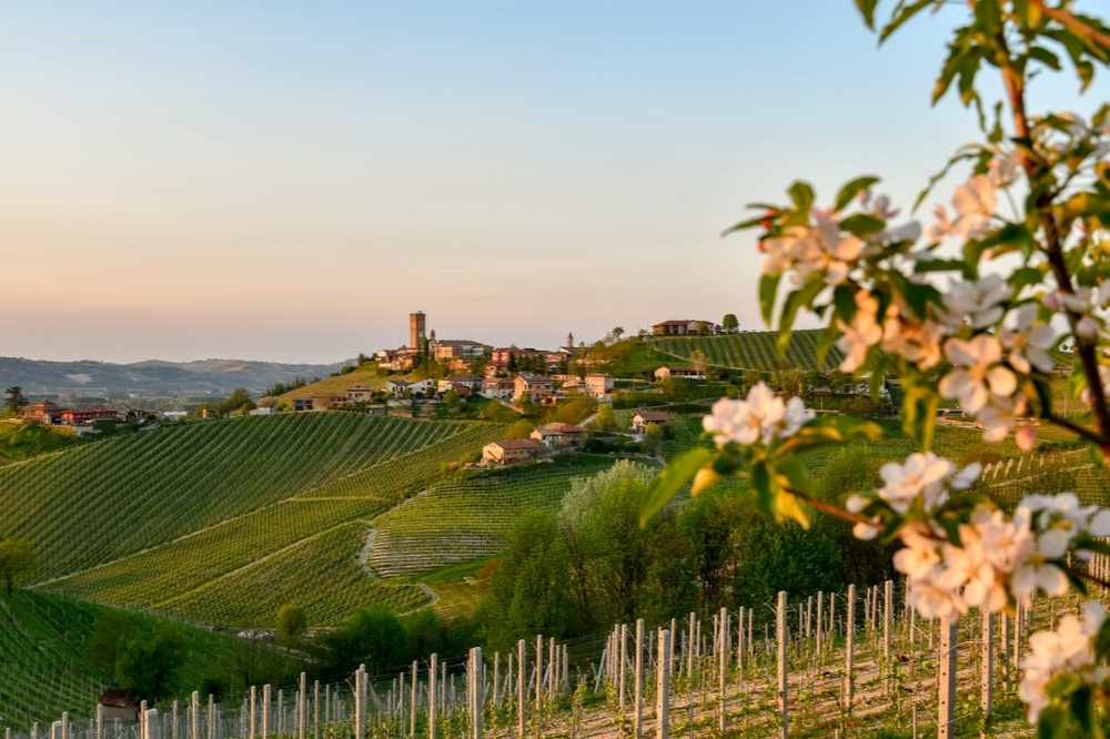 spring-langhe.jpg