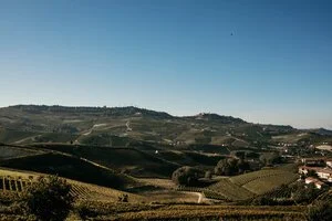 Barolo Wine Tour - Barolo Vineyard Tour