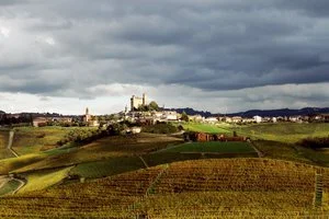 Thinking to visit the vineyards in Piemonte, Italy? Why wait!!