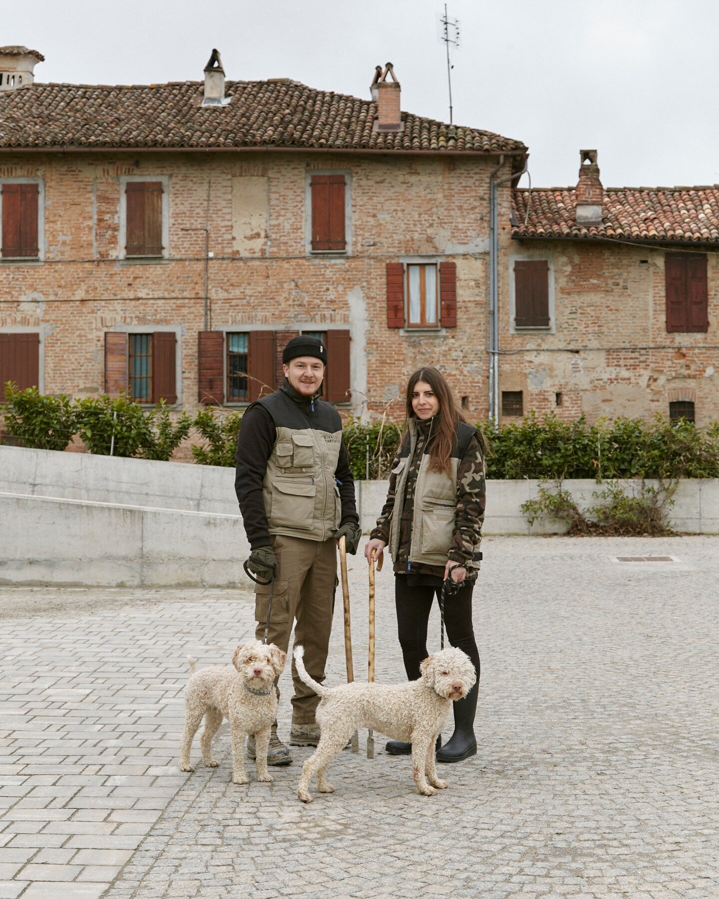 Thinking about the future and changing the game.

Truffle hunting has never been so much fun, today a group of youngsters are changing the way things work in the truffle world. Working together as friends in teams, they are able to cover more ground,