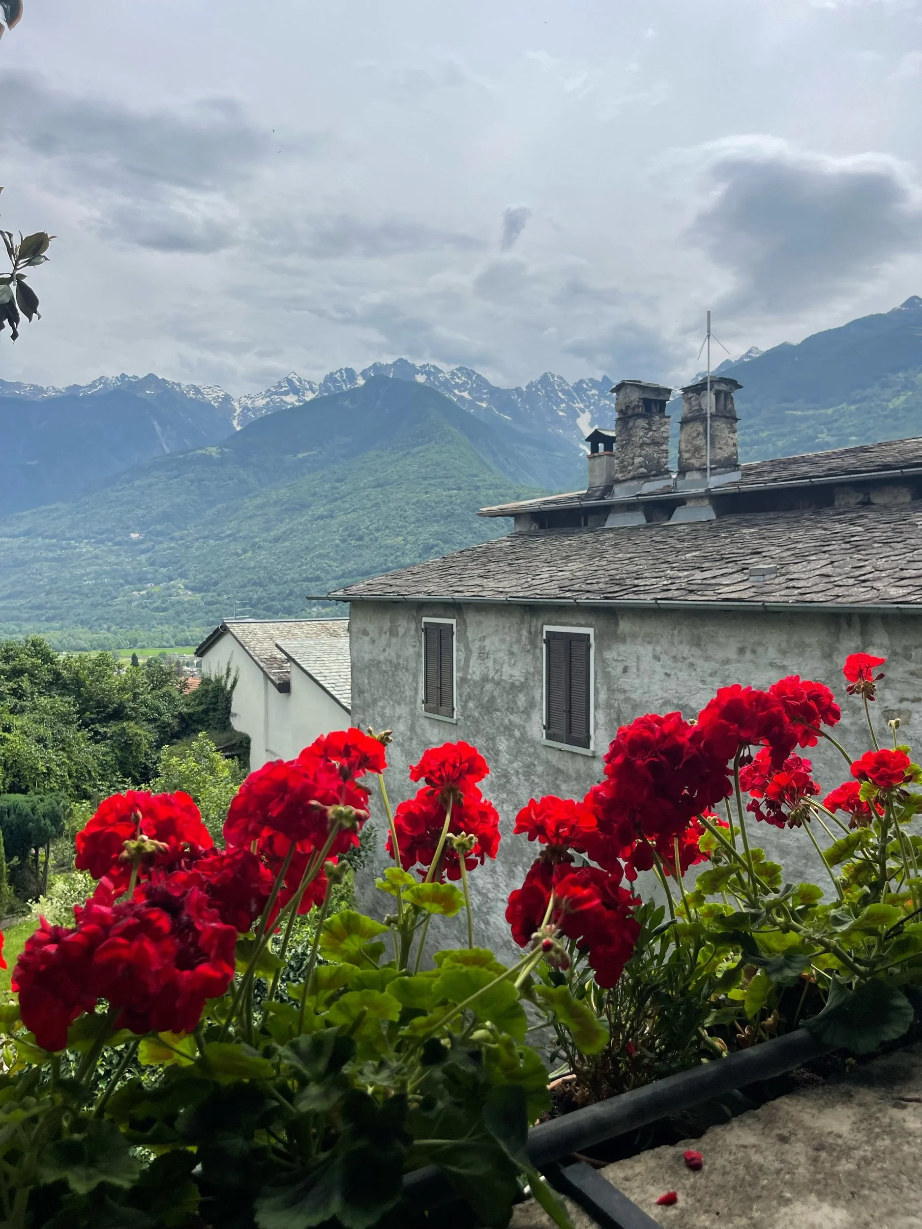 Valtellina Wines: Discovering Alpine Nebbiolo in Lombardy’s Heroic Vineyards
