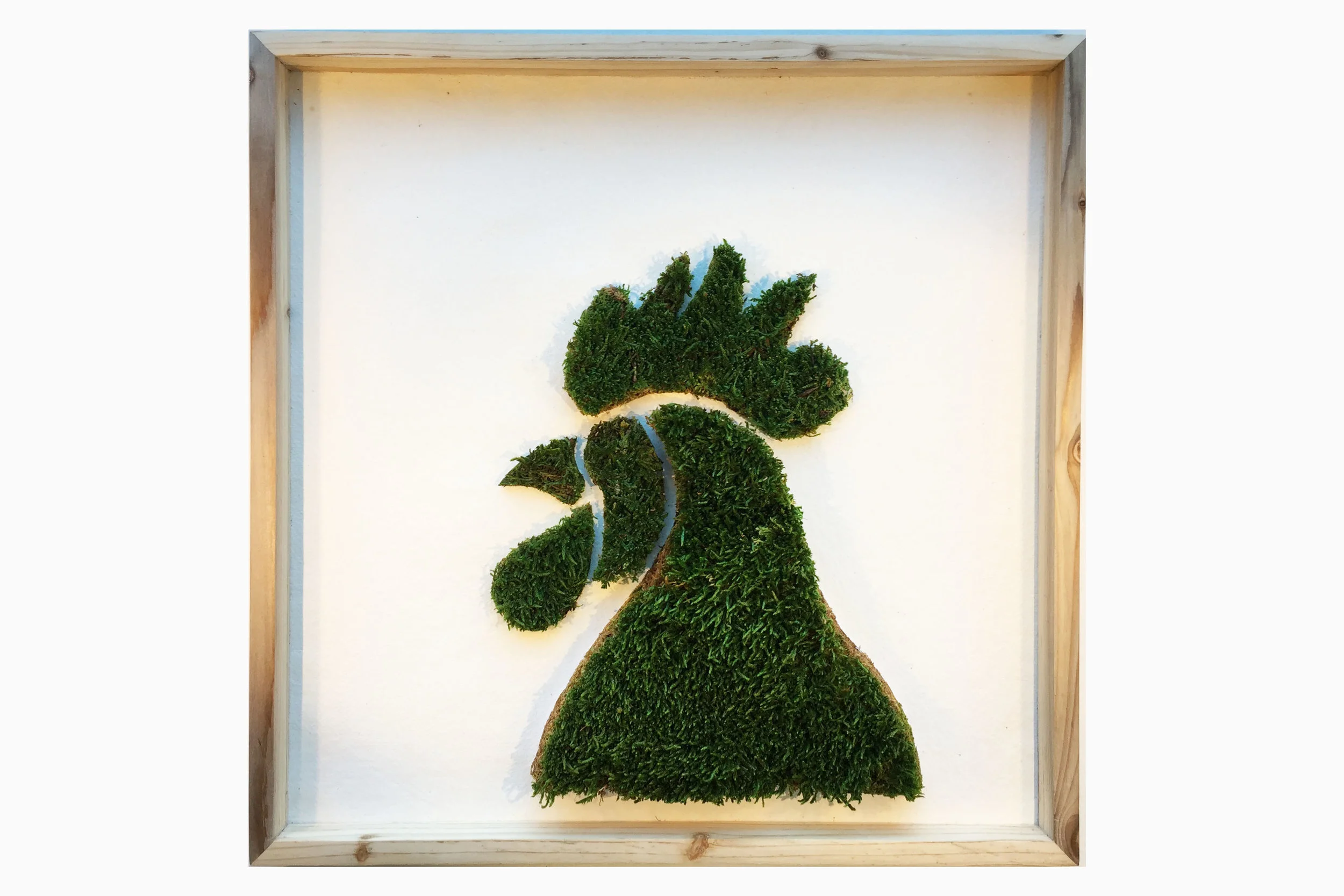 cadre-vegetal-coq-hoai.jpg
