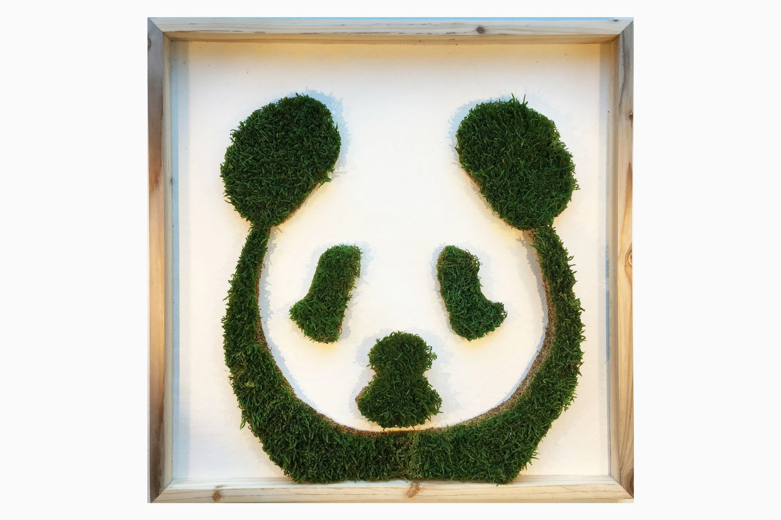 cadre-vegetal-panda-hoai.jpg