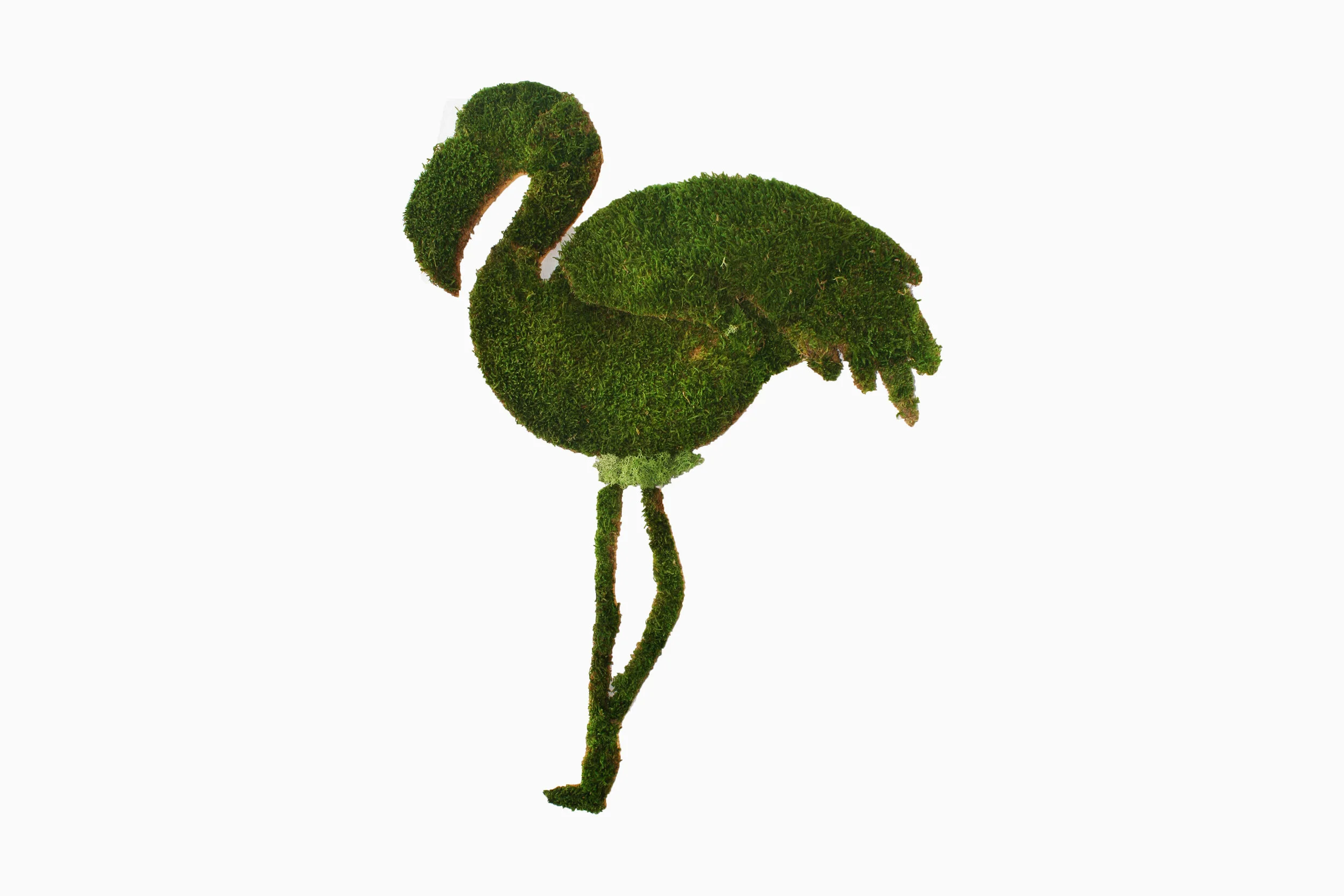 cadre-vegetal-flamant-silhouette-hoai.jpg