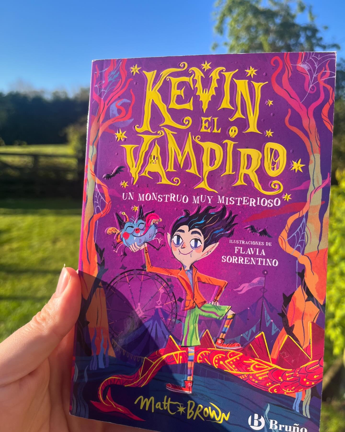 The Spanish 🇪🇸 edition of KEVIN THE VAMPIRE sparkling in the sunlight. And looking GREAT on my foreign edition shelf sandwiched between Dutch 🇳🇱 Kevin and Turkish 🇹🇷 Compton