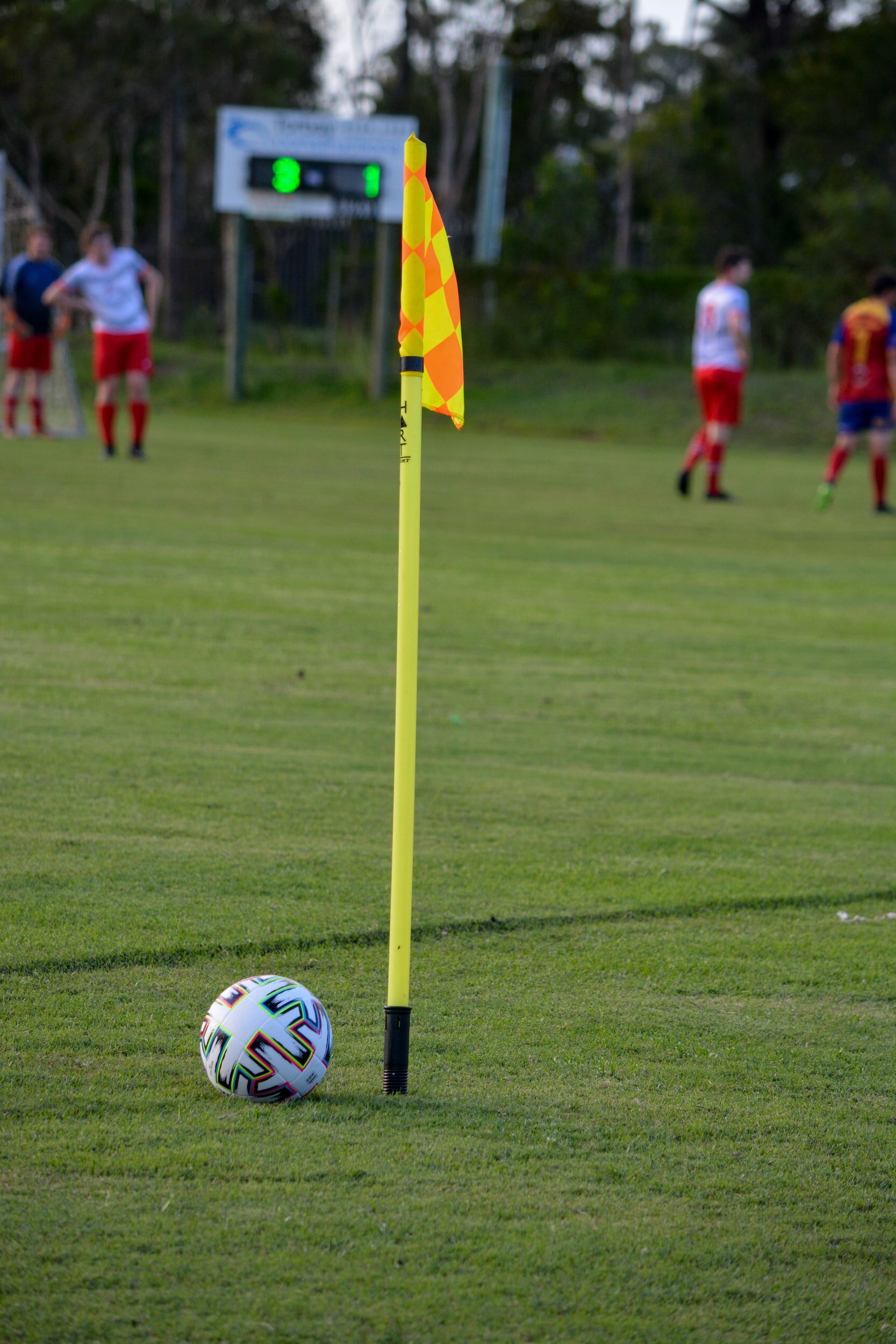 Fortsetzung der Meisterschaft