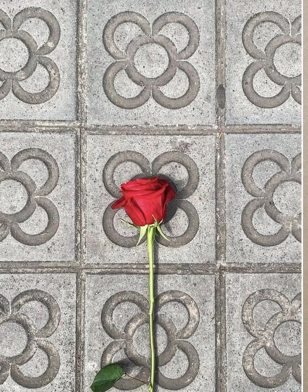Diada Sant Jordi - 23 april - världsbokdagen