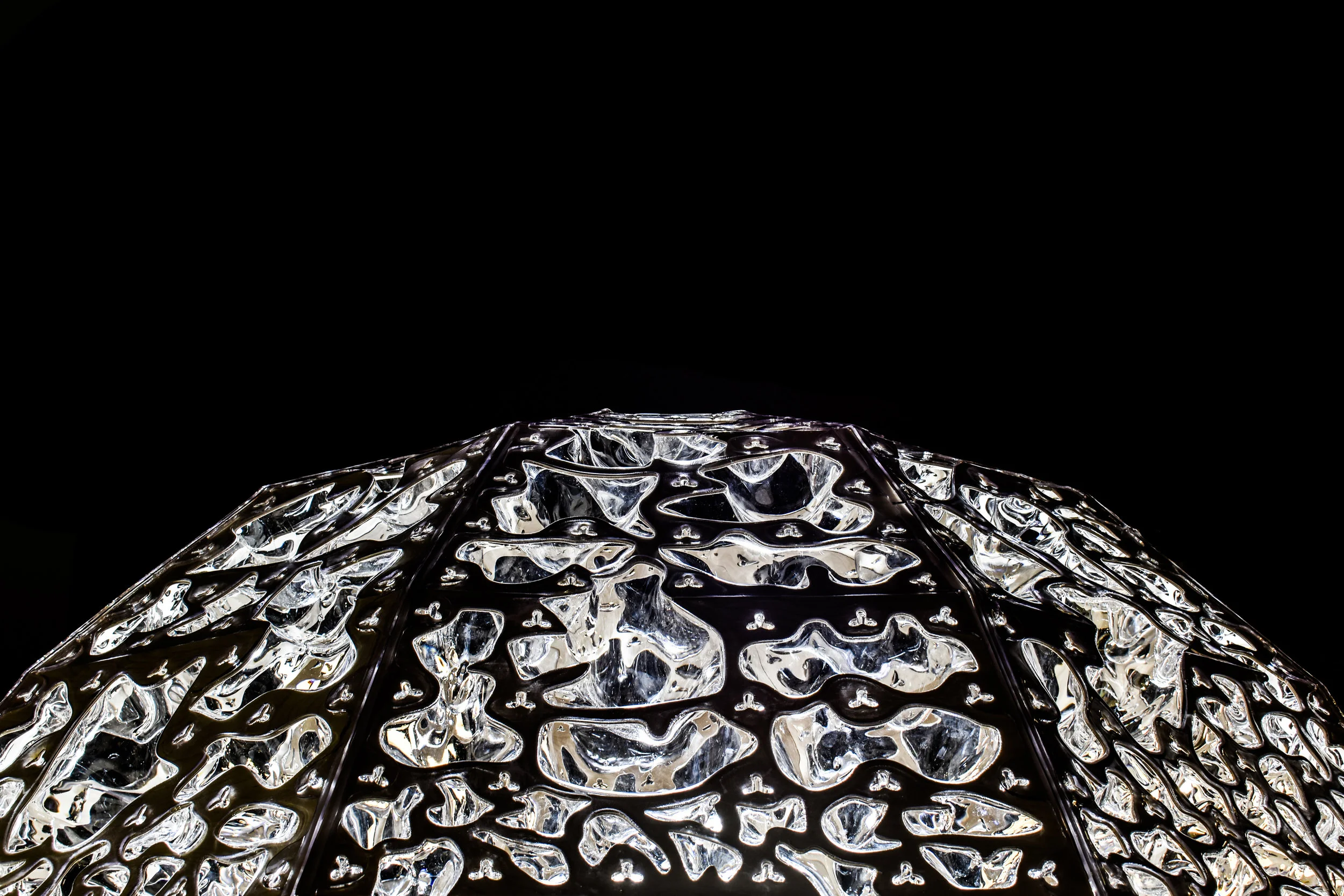 DSC_0201v.jpg