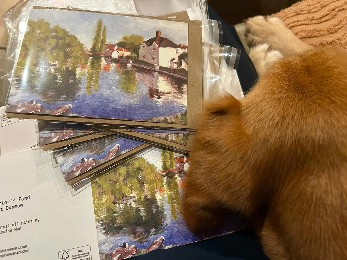 Packing up cards of my Doctor&rsquo;s Pond painting ready for the @dunmowartgroup Art Exhibition &amp; Sale this coming weekend at St Mary&rsquo;s Church, Church End, Dunmow. Doggie not included, just here for cuteness ☺️ 

Let me know if you&rsquo;d