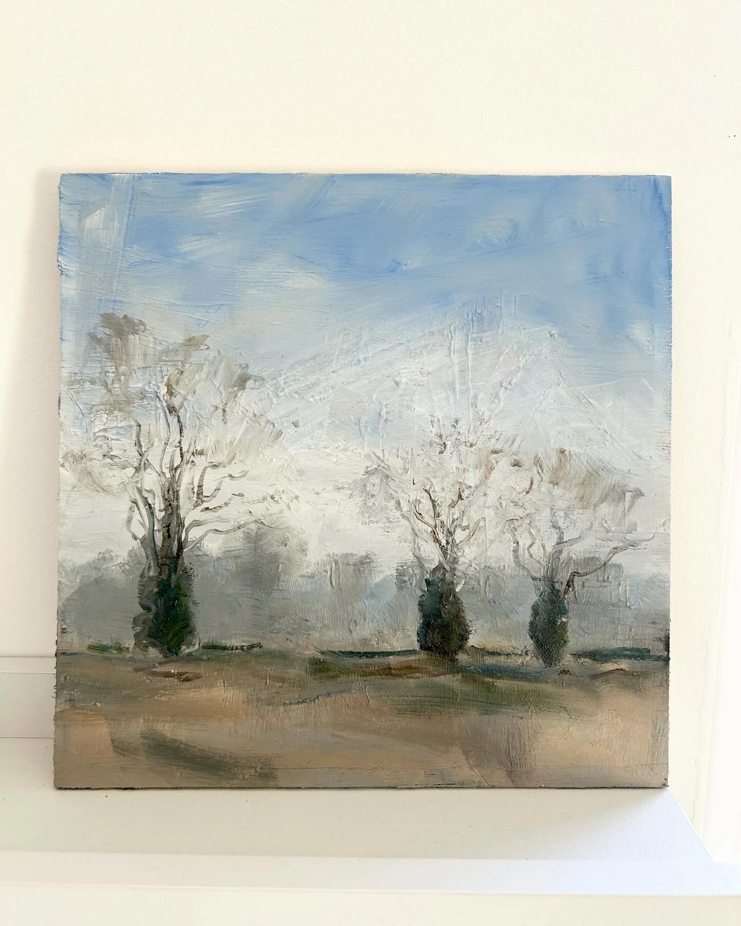 WINTER TREES / FAMILIAR LANDSCAPE 

Bare trees with trunks covered in thick ivy are familiar sights where we live in north Essex. Their shape and structure is  for me a classic winter view, standing proud in the landscape.

#winterlandscape 
#baretre