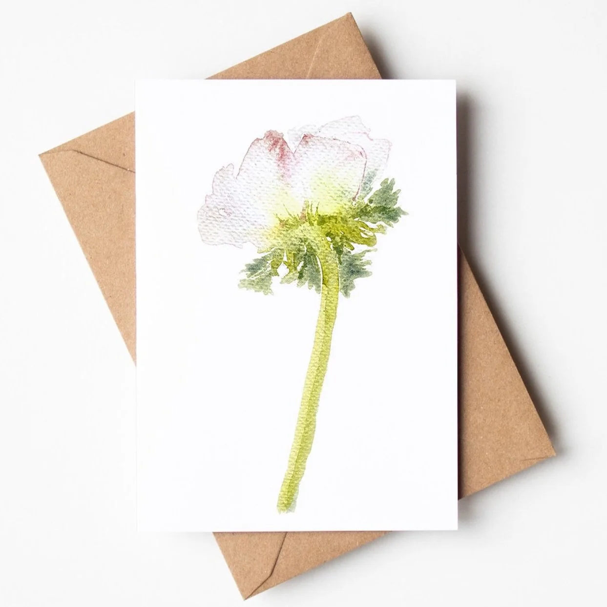Single Anemone greeting card by Louise Man