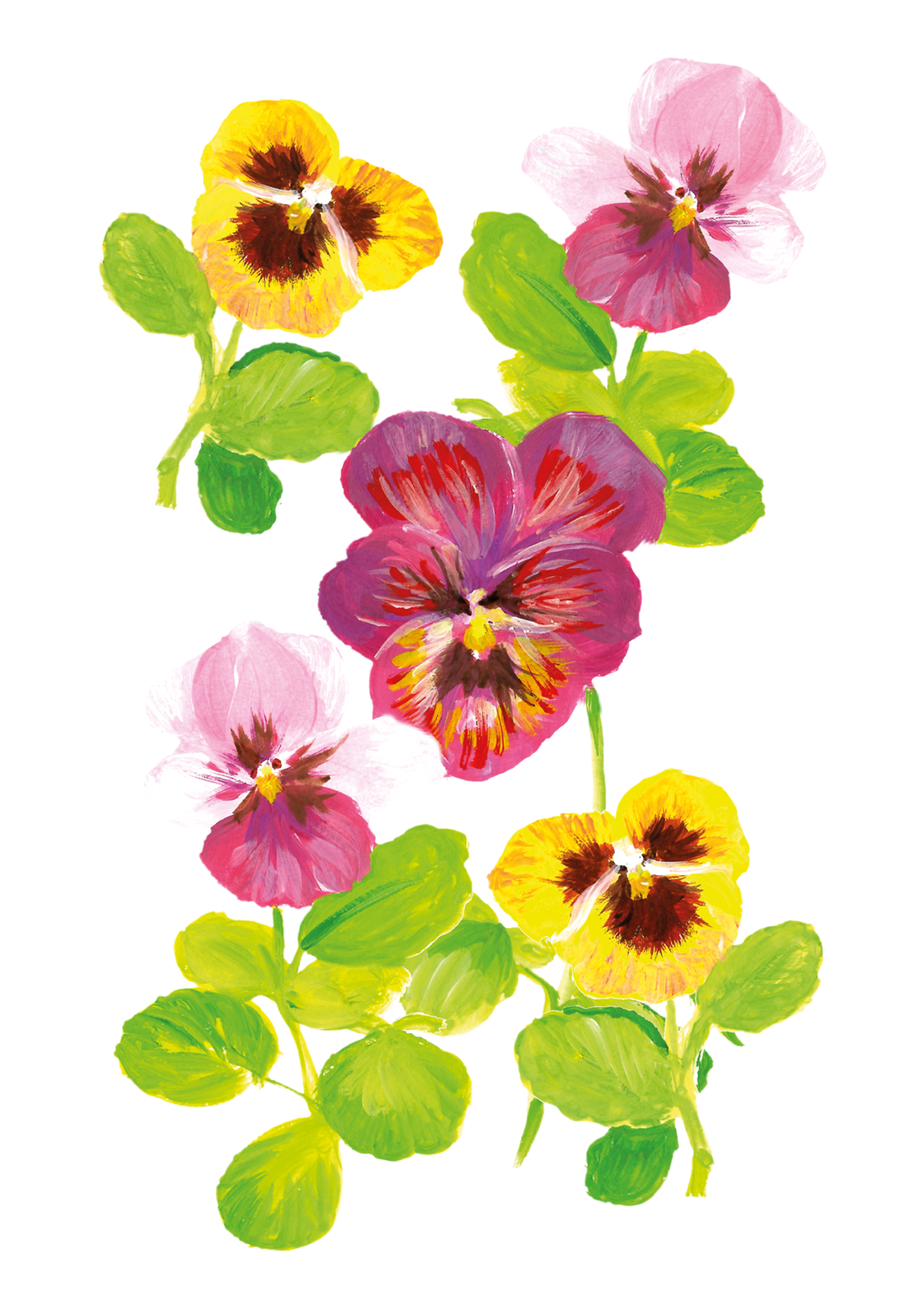 Spring Pansies print by Louise Man Art