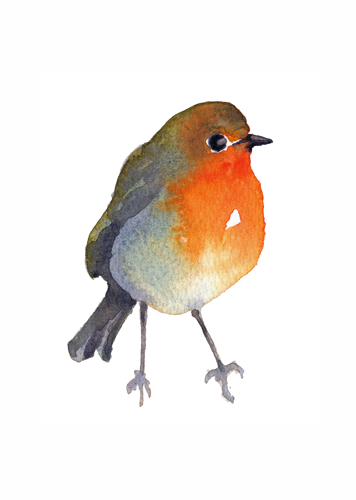 A4 Robin Print by Louise Man Art