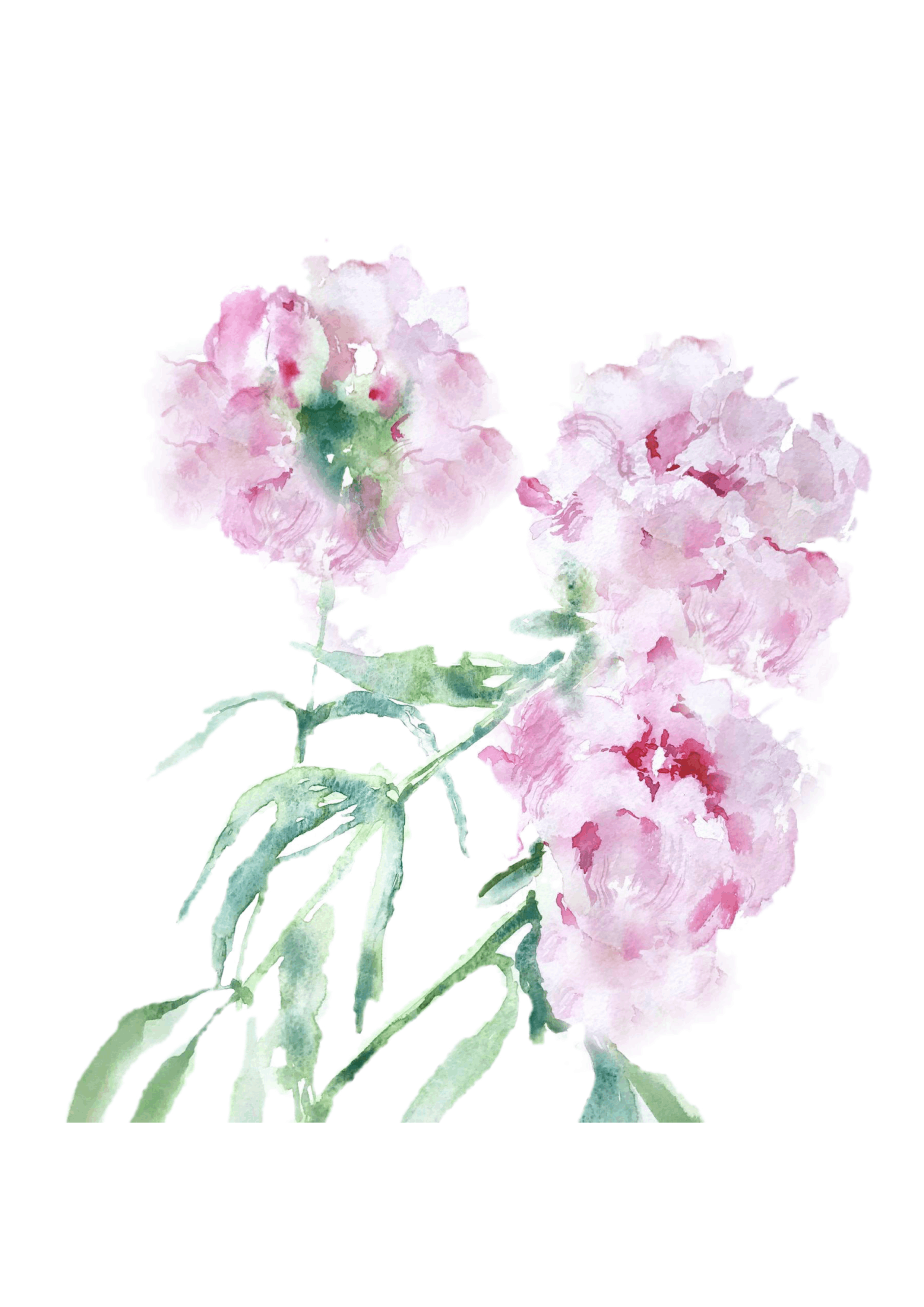 Pink Peonies Print by Louise Man Art