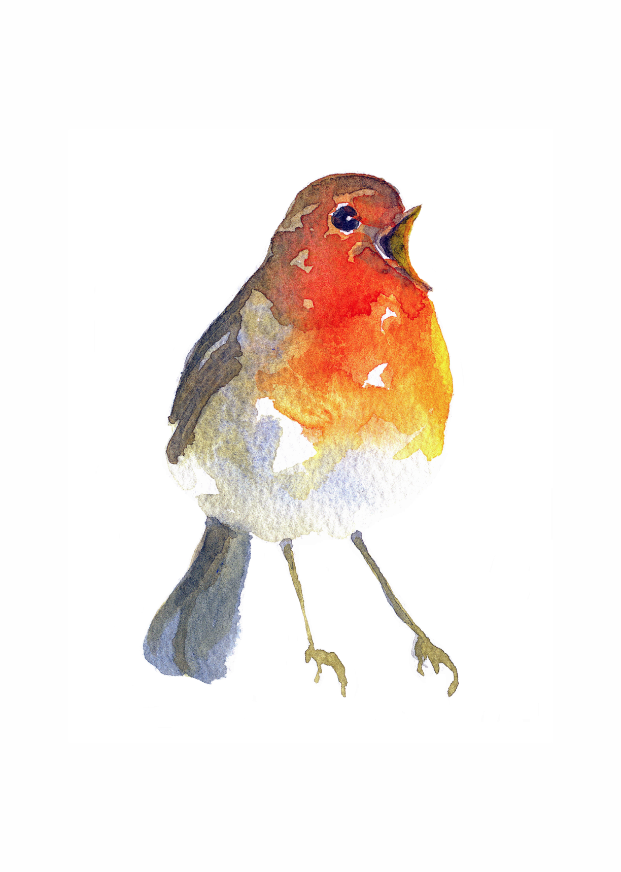A4 Robin Singing Print