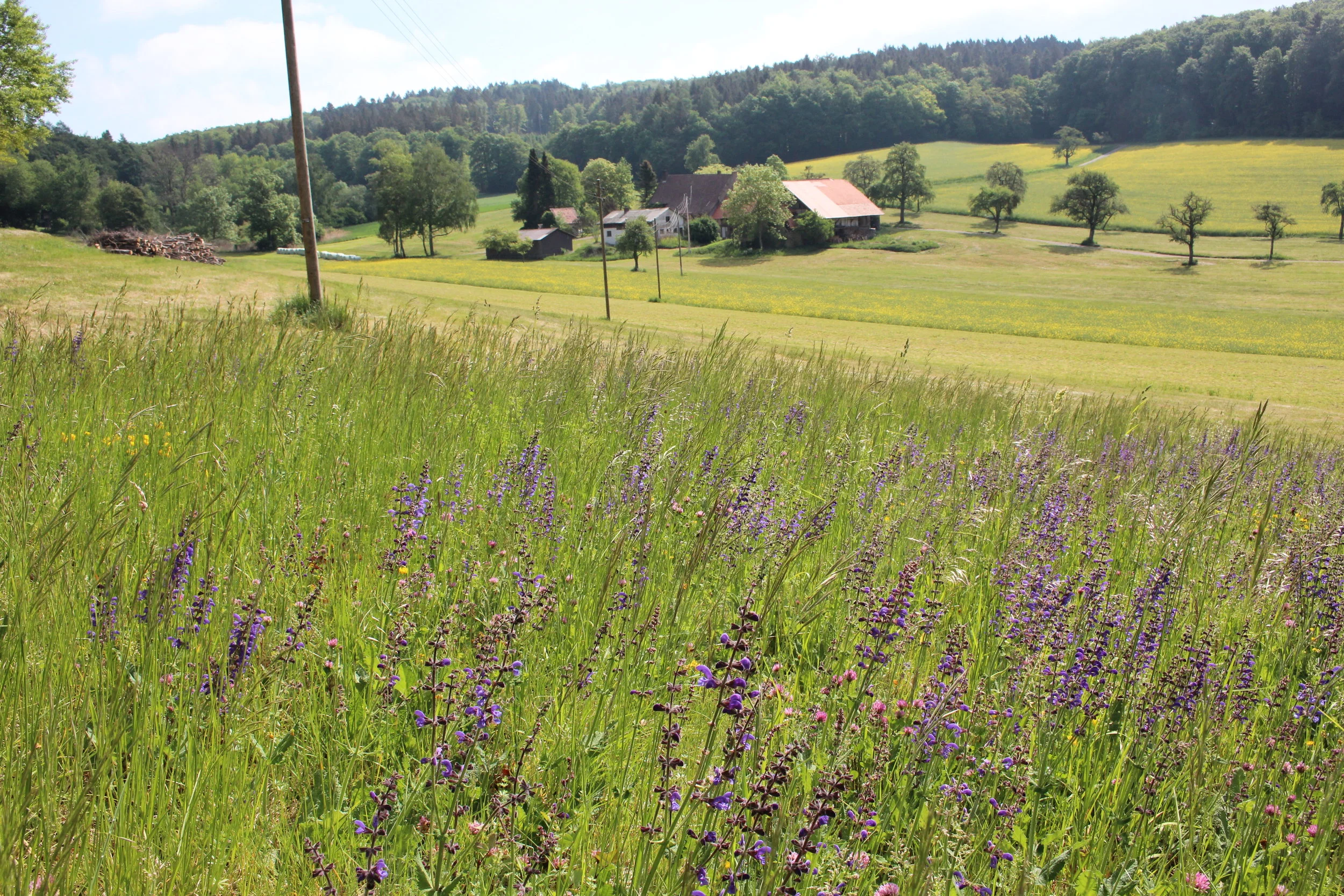 RUNDWANDERWEG ALBERTINE STEIG