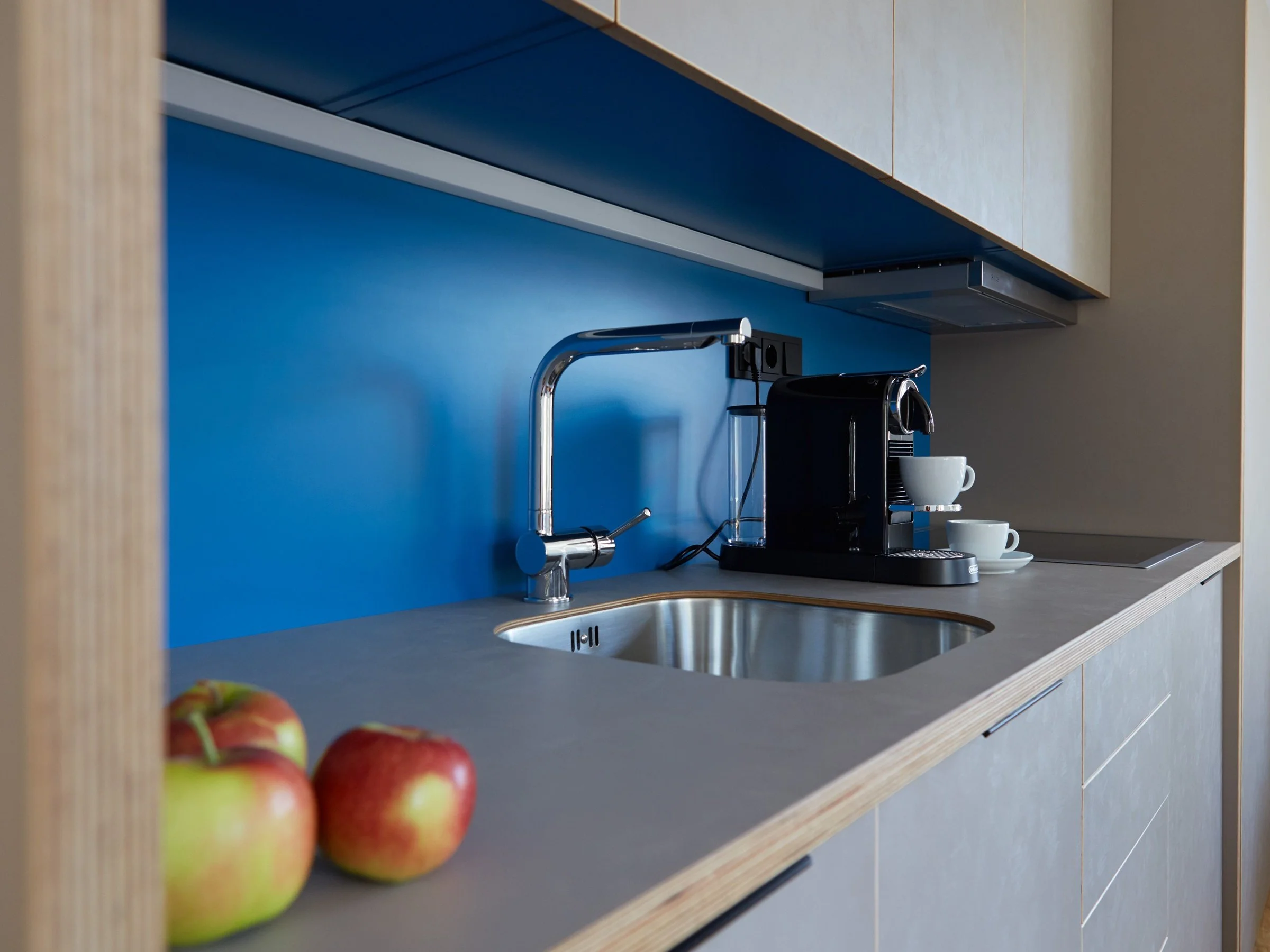 Höri 6 Küche mit Spülmaschine .jpg