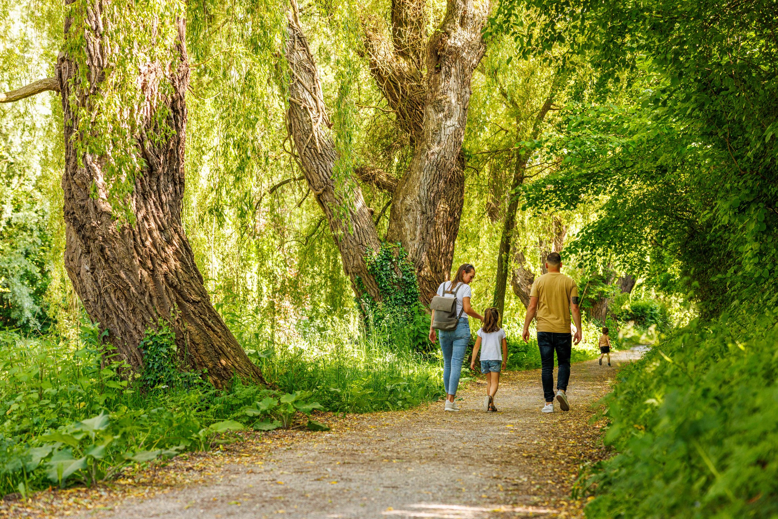 Singen_Erlebnisweg-Aachufer_Uferweg_09_Nachweis_Stadt-Singen_Buero-Klare.jpg