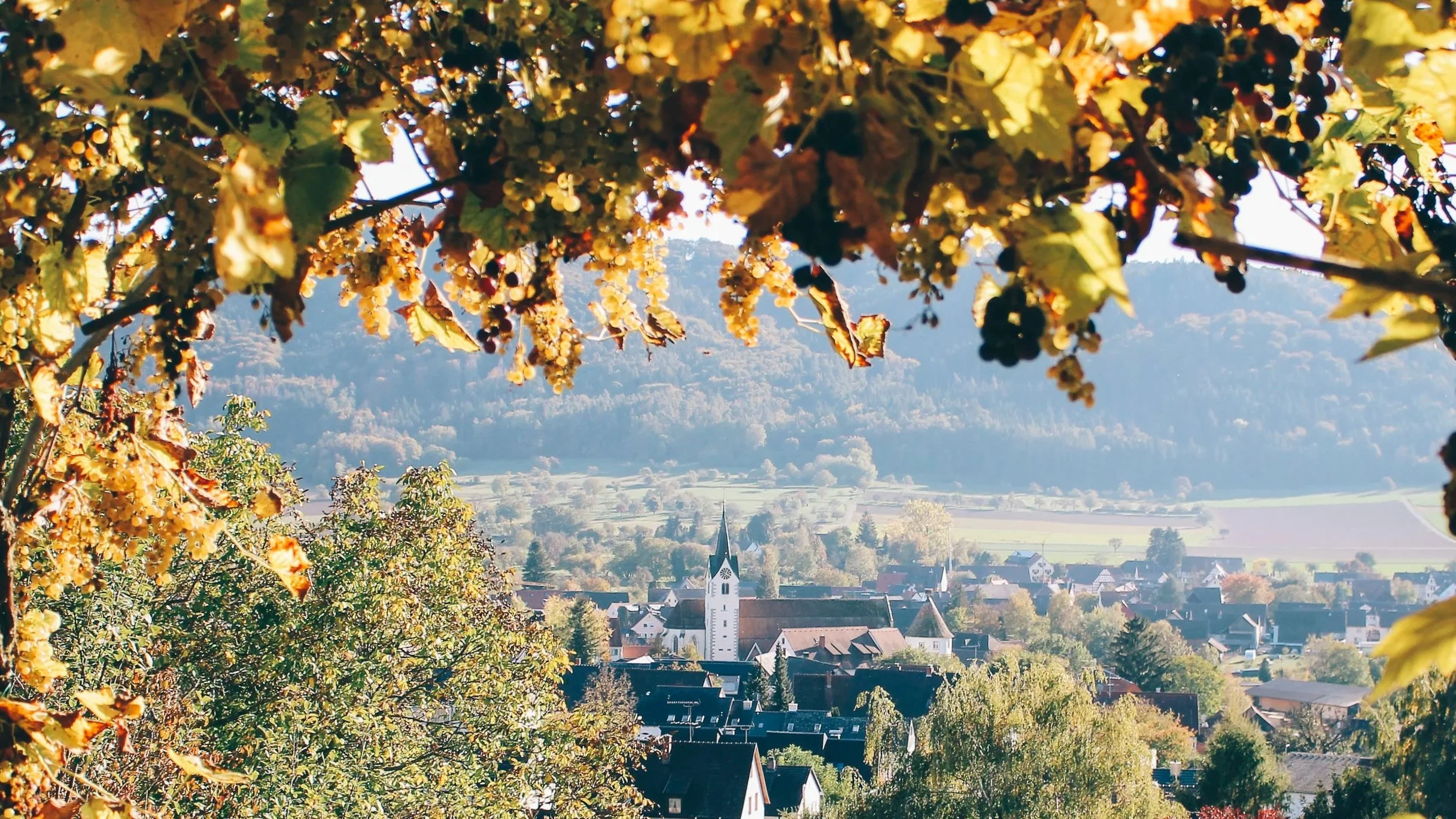 Blick vom Galgenberg auf Bohlingen- edit.jpg