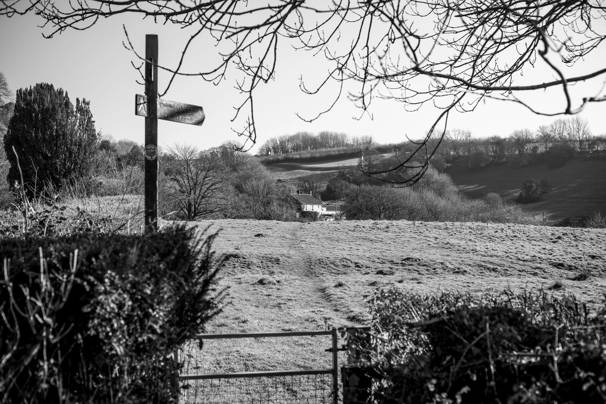 Cotleigh Inn_is3a0037.jpg