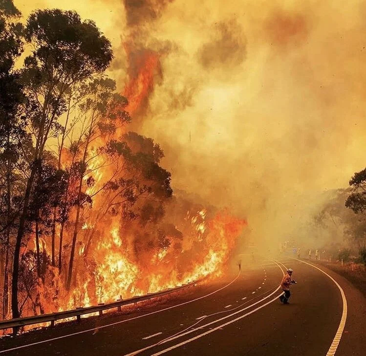 Australian Bushfire Fundraising