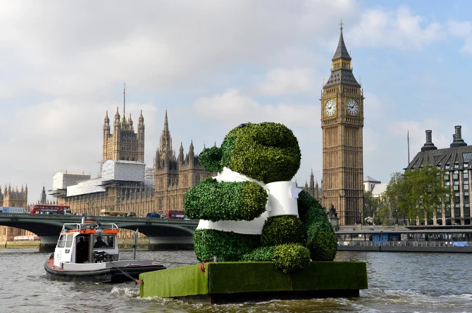 PG-TIPS-GREEN-TEA-ENERGISES-LONDON-WITH-A-GIANT-FLOATING-GREEN-MONKEY-5_670.jpg