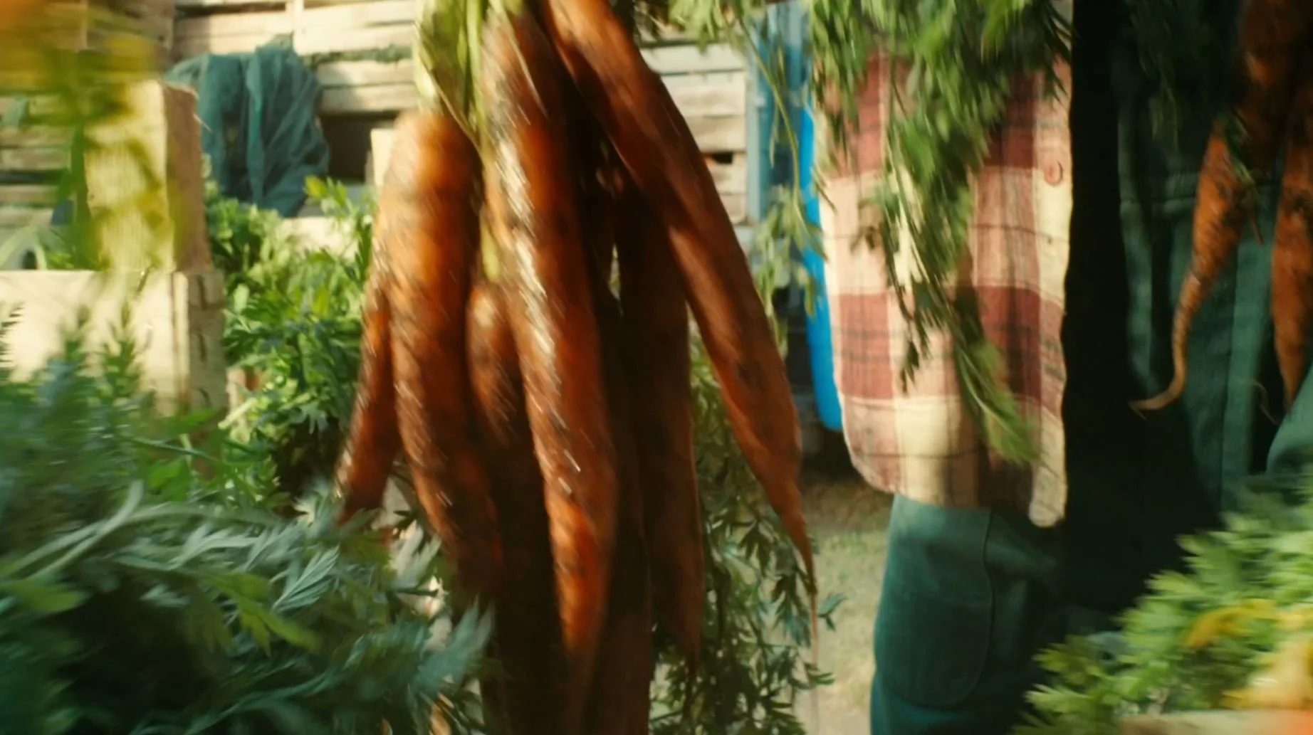 FotoVideo_03.JPG