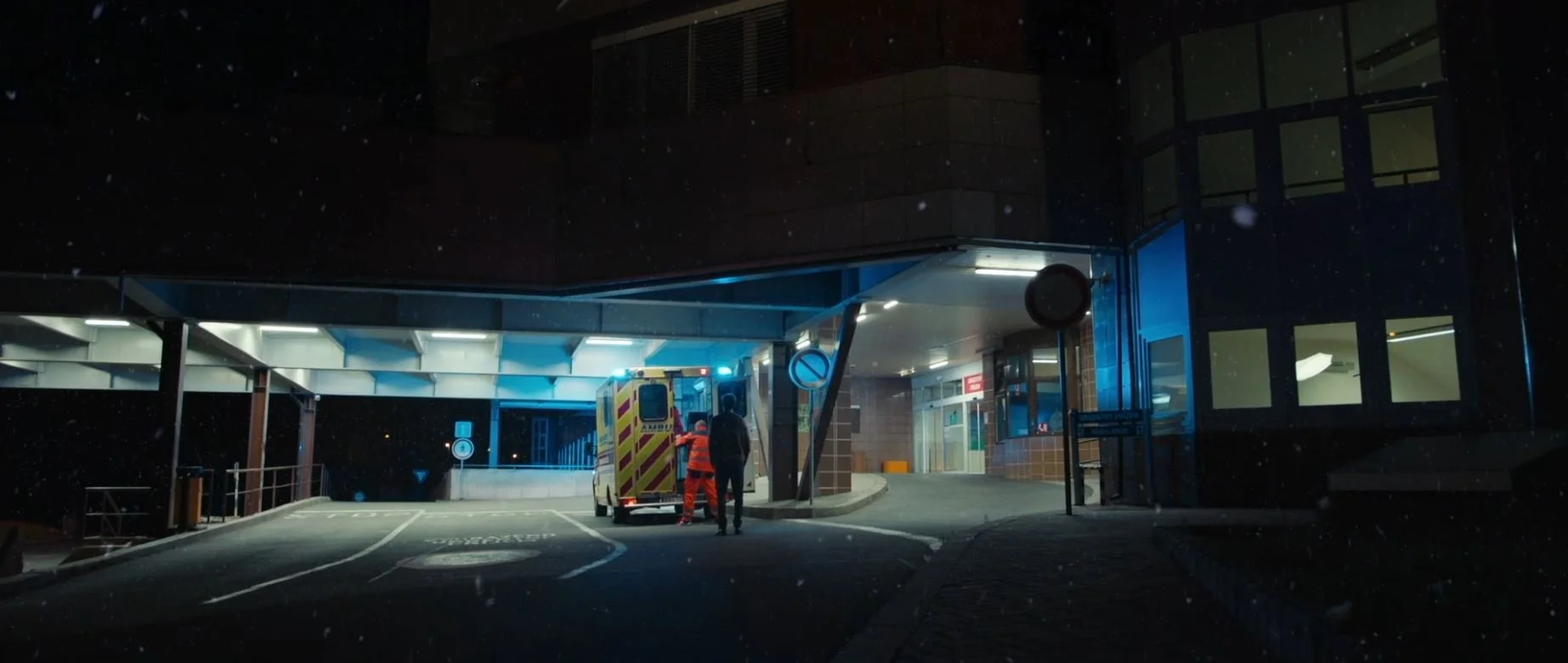 Video_09.JPG