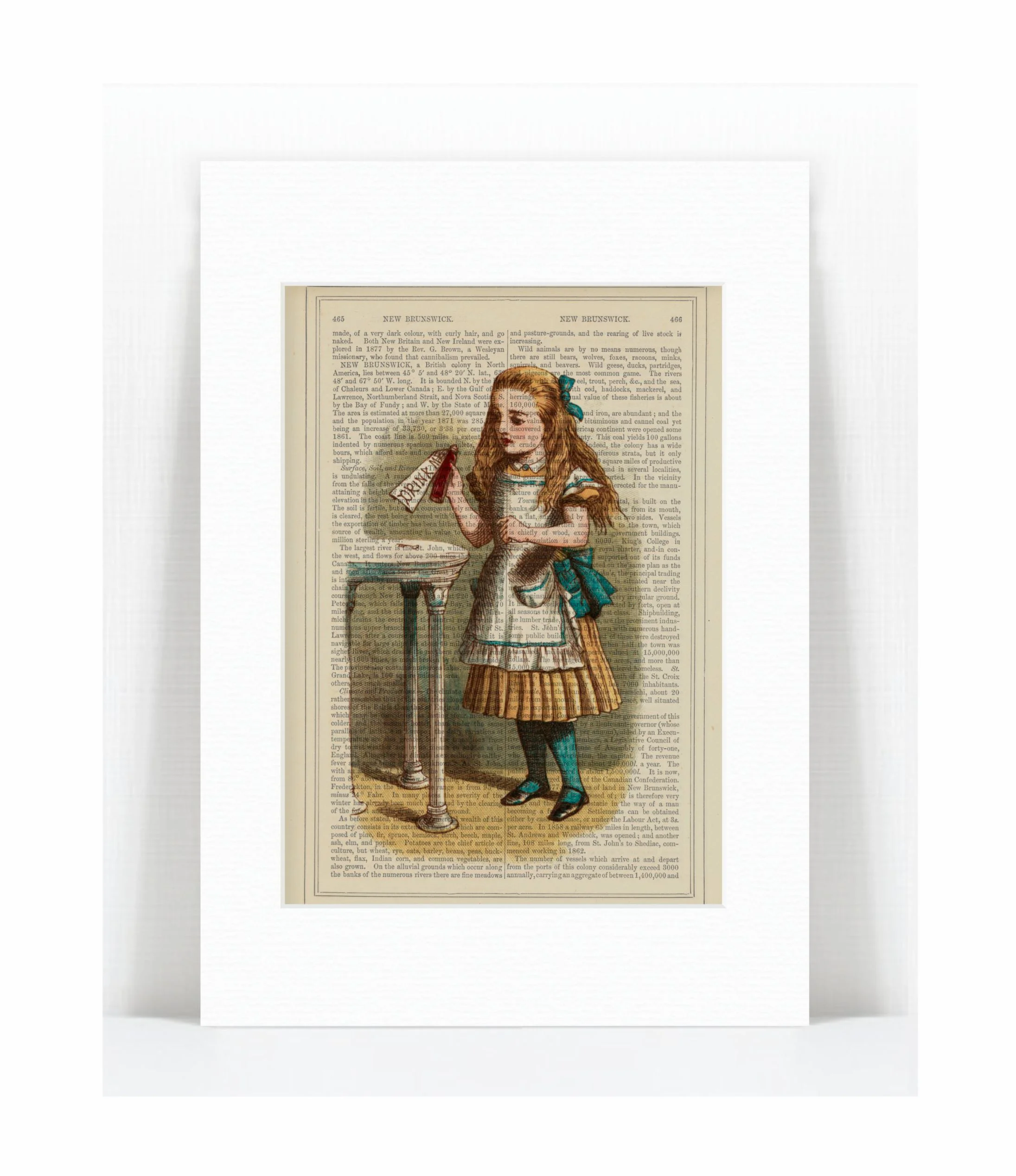 alice drink me.jpg