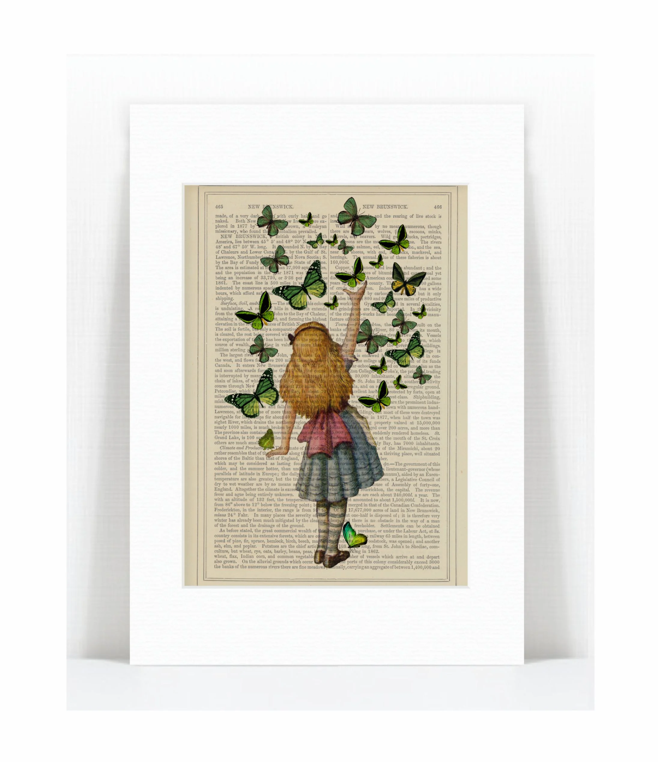alice green butterflies.jpg