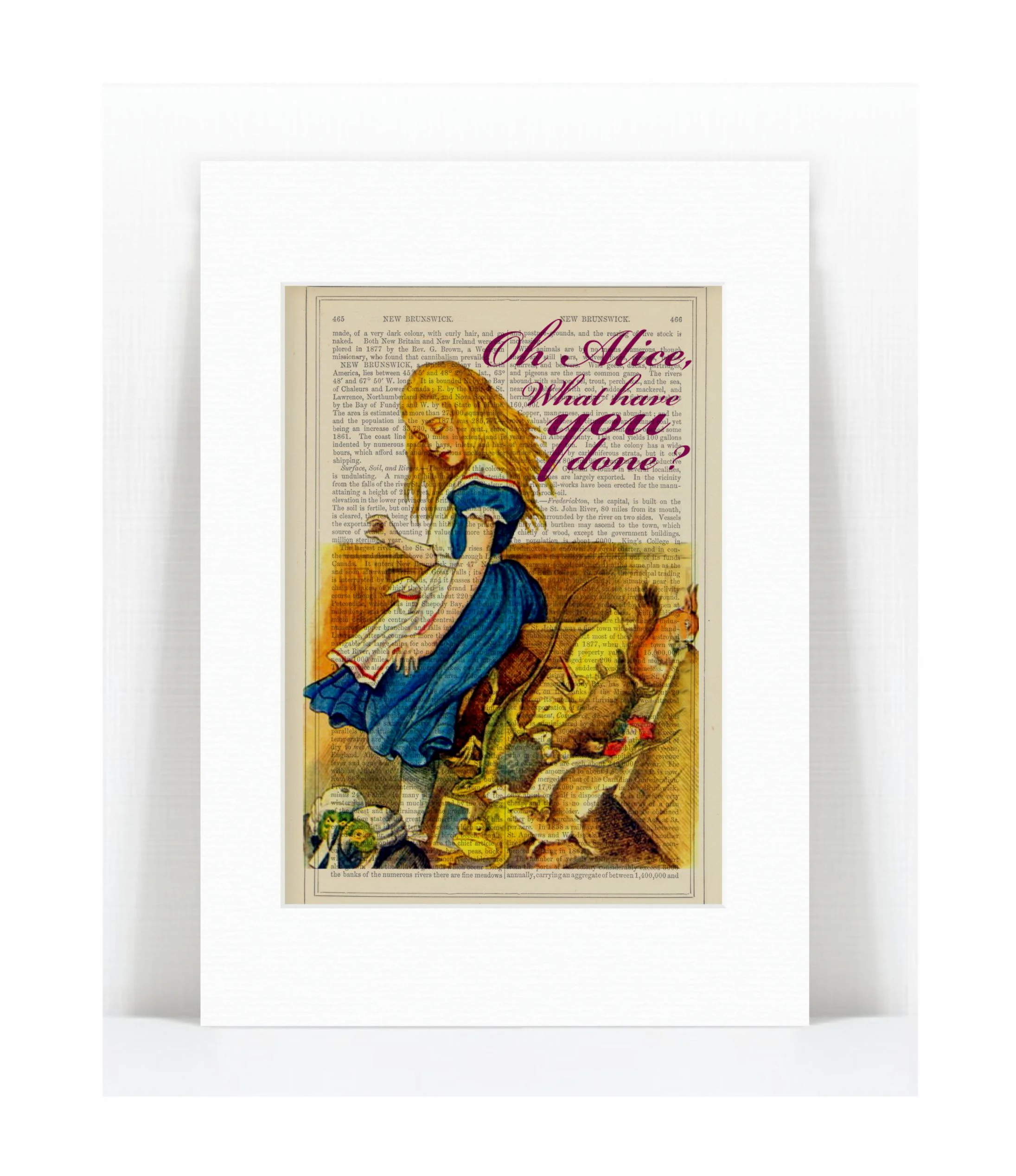 alice jury box.jpg